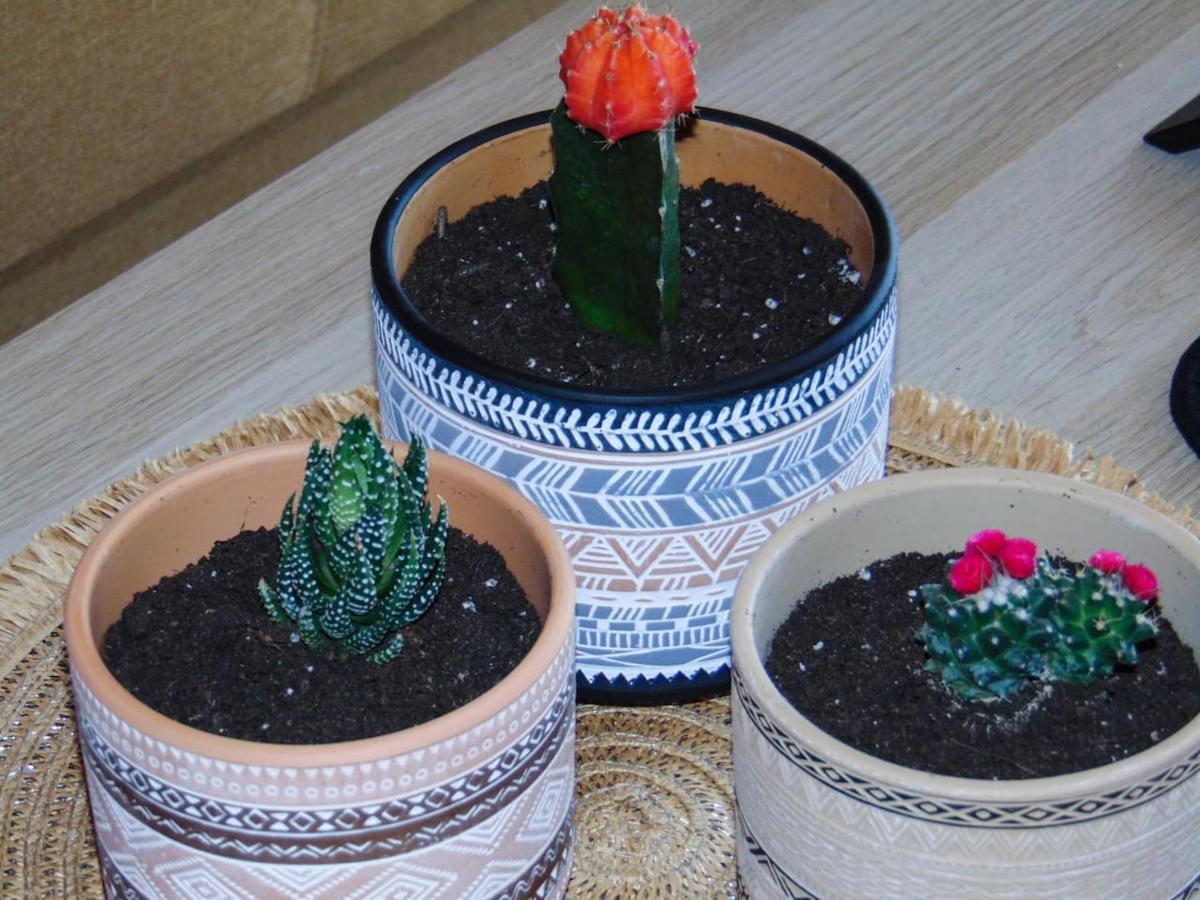 The Orange Cactus Apartment Sparta Luaran gambar